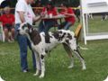 28.6.09_frankenthal_066.jpg