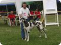 28.6.09_frankenthal_067.jpg