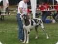 28.6.09_frankenthal_068.jpg