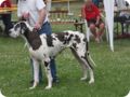 28.6.09_frankenthal_070.jpg