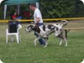 28.6.09_frankenthal_071.jpg