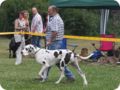 28.6.09_frankenthal_072.jpg