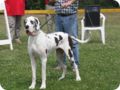 28.6.09_frankenthal_073.jpg