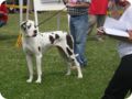 28.6.09_frankenthal_074.jpg