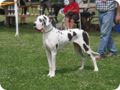 28.6.09_frankenthal_077.jpg