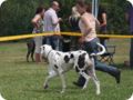 28.6.09_frankenthal_078.jpg