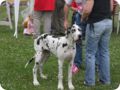 28.6.09_frankenthal_090.jpg