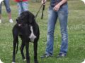 28.6.09_frankenthal_092.jpg