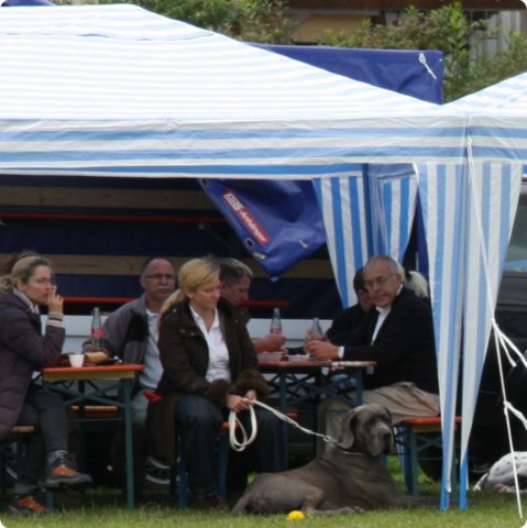 cac_villingen_005.jpg