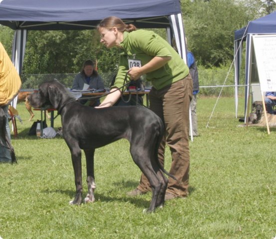 cac_villingen_024.jpg
