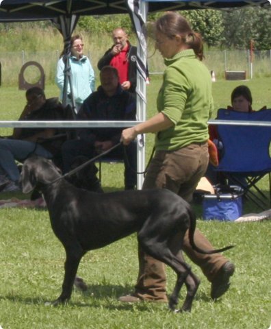 cac_villingen_025.jpg