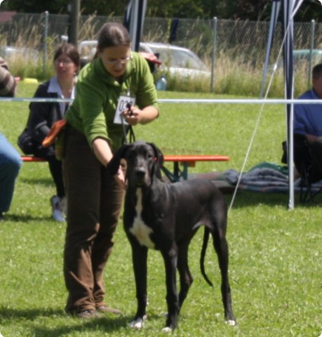 cac_villingen_028.jpg