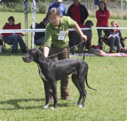 cac_villingen_031.jpg