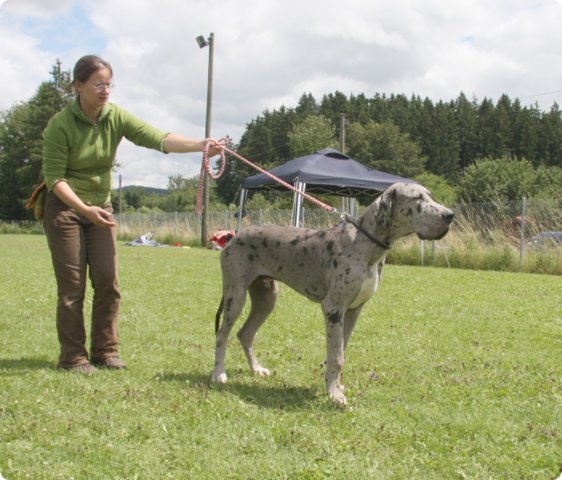 cac_villingen_043.jpg
