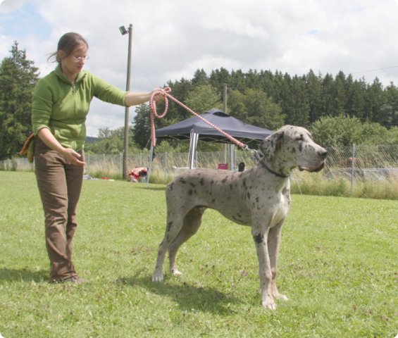 cac_villingen_044.jpg