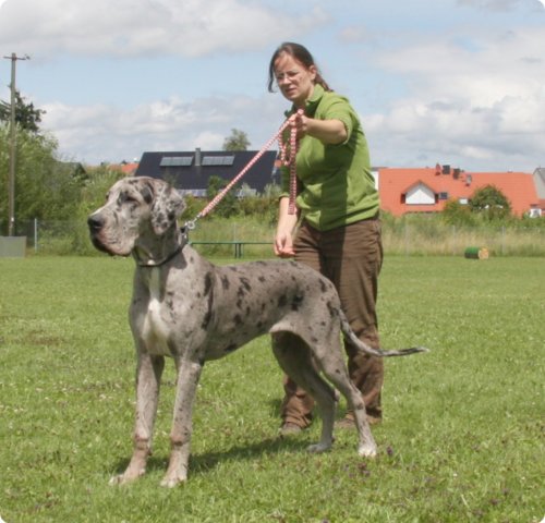 cac_villingen_046.jpg
