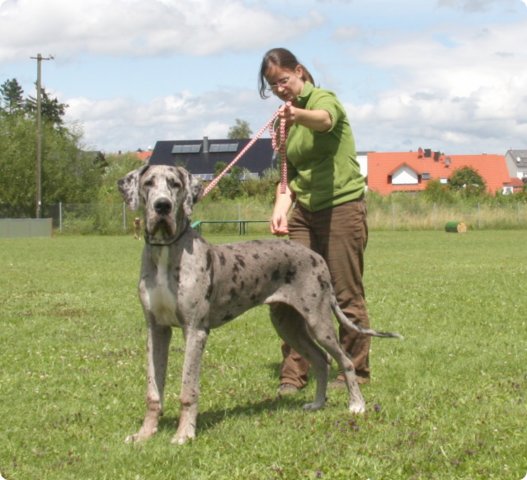 cac_villingen_047.jpg