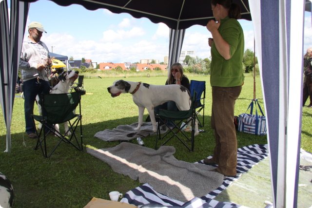cac_villingen_049.jpg