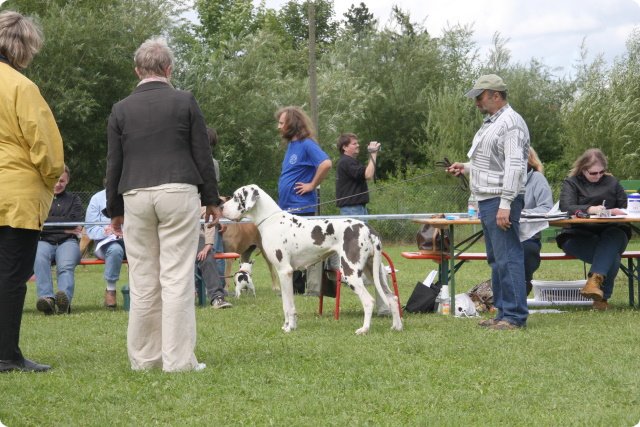 cac_villingen_061.jpg