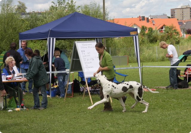 cac_villingen_062.jpg