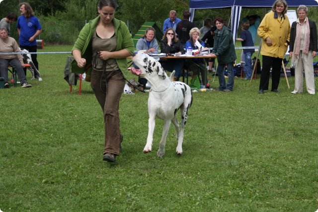 cac_villingen_063.jpg