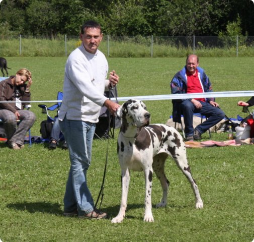 cac_villingen_067.jpg