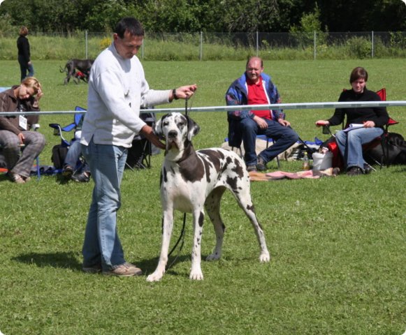 cac_villingen_069.jpg