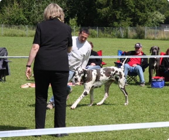 cac_villingen_070.jpg