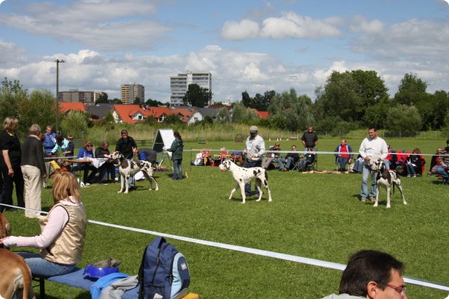 cac_villingen_075.jpg