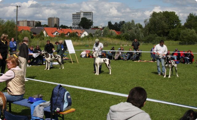 cac_villingen_076.jpg