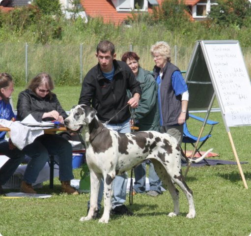 cac_villingen_079.jpg