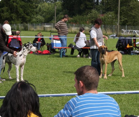 cac_villingen_091.jpg
