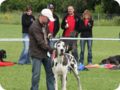 cac_villingen_099.jpg