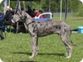 cac_villingen_013.jpg