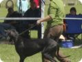 cac_villingen_025.jpg