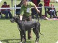 cac_villingen_031.jpg