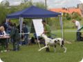 cac_villingen_062.jpg