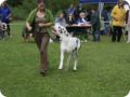 cac_villingen_063.jpg