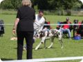 cac_villingen_070.jpg
