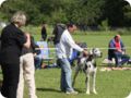 cac_villingen_071.jpg