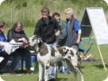 cac_villingen_079.jpg