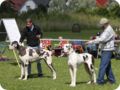 cac_villingen_084.jpg