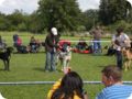cac_villingen_089.jpg