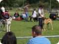 cac_villingen_091.jpg