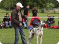 cac_villingen_093.jpg