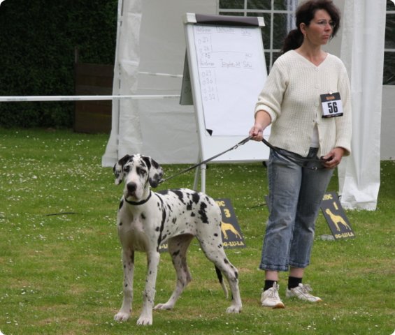 cac_roedersheim_009.jpg