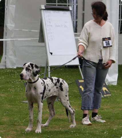 cac_roedersheim_010.jpg