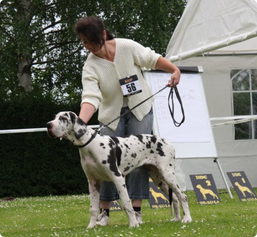 cac_roedersheim_017.jpg