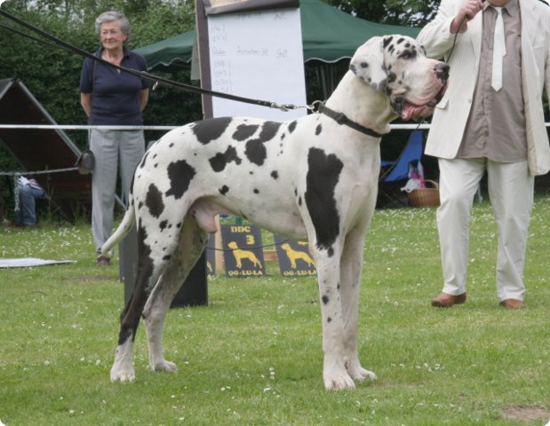 cac_roedersheim_028.jpg