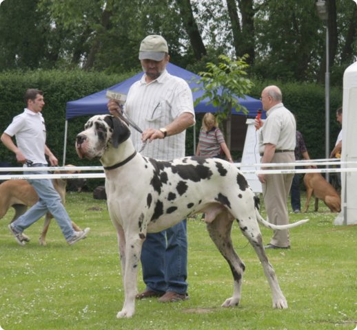 cac_roedersheim_031.jpg